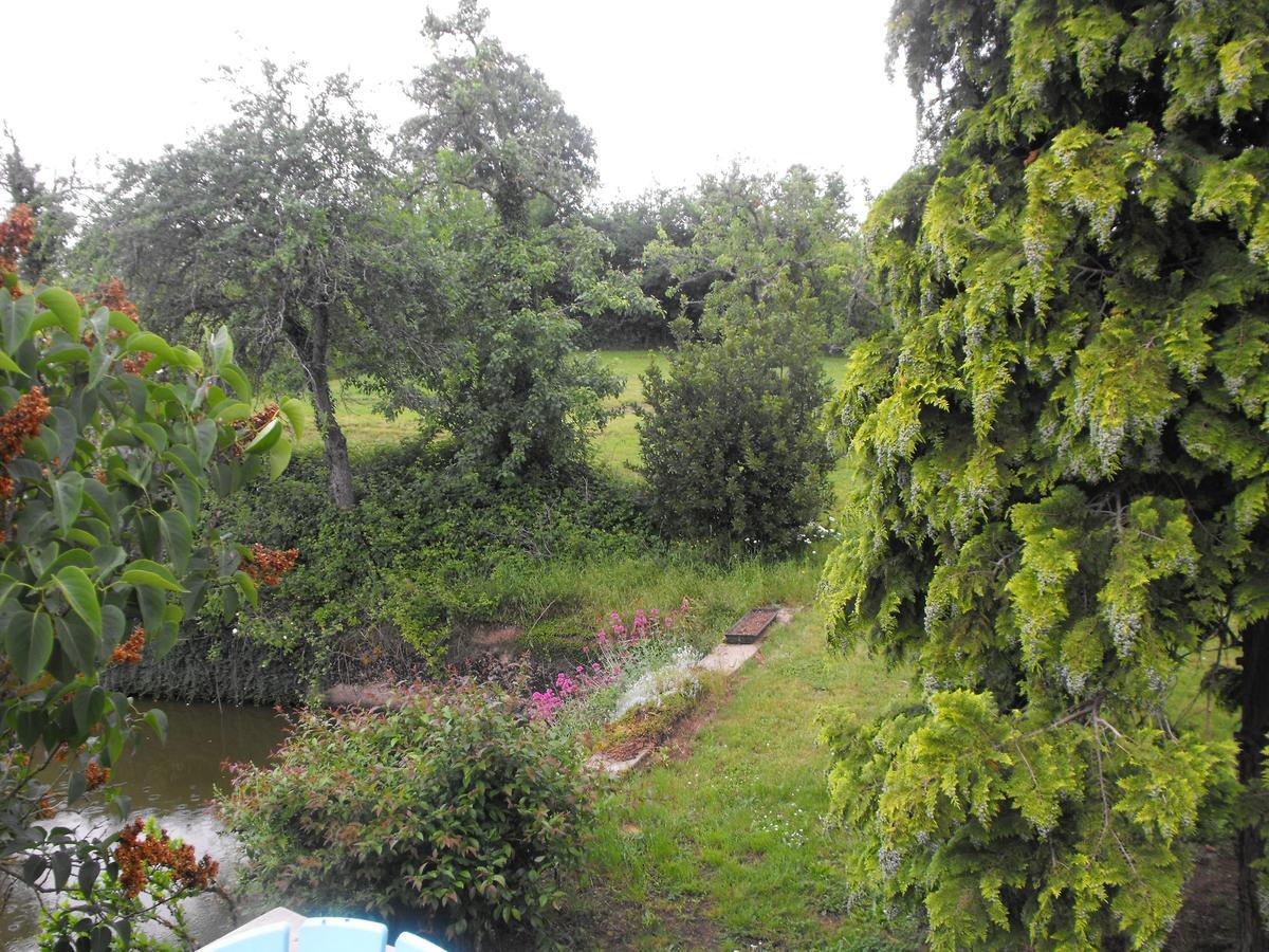 Domaine De La Madeleine Bed & Breakfast Ygrande Exterior photo